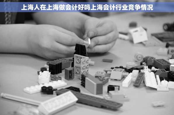 上海人在上海做会计好吗上海会计行业竞争情况