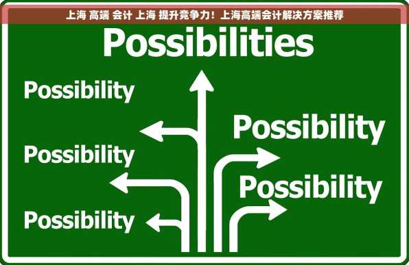 上海 高端 会计 上海 提升竞争力！上海高端会计解决方案推荐