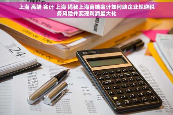 上海 高端 会计 上海 揭秘上海高端会计如何助企业规避税务风险并实现利润最大化