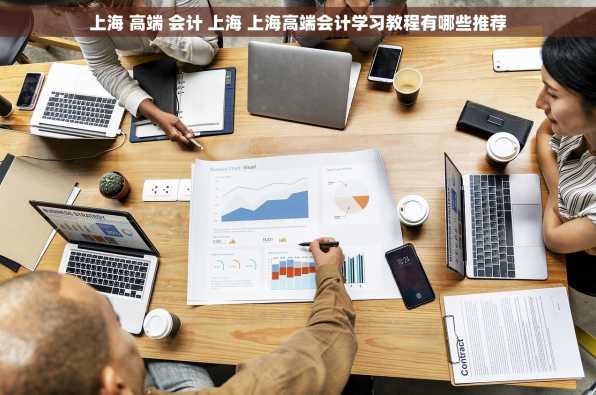 上海 高端 会计 上海 上海高端会计学习教程有哪些推荐