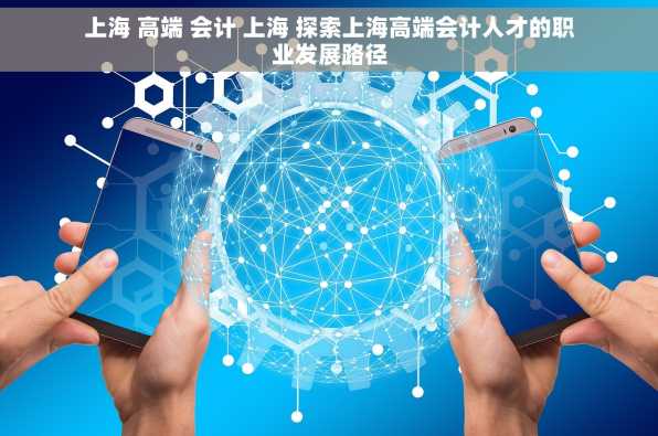 上海 高端 会计 上海 探索上海高端会计人才的职业发展路径