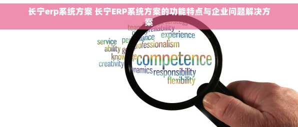 长宁erp系统方案 长宁ERP系统方案的功能特点与企业问题解决方案