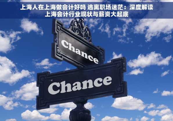 上海人在上海做会计好吗 逃离职场迷茫：深度解读上海会计行业现状与薪资大起底