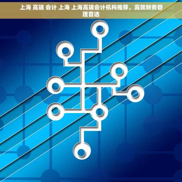 上海 高端 会计 上海 上海高端会计机构推荐，高效财务管理首选