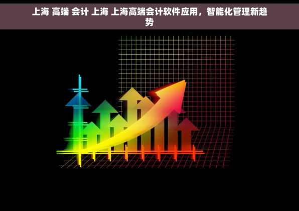 上海 高端 会计 上海 上海高端会计软件应用，智能化管理新趋势