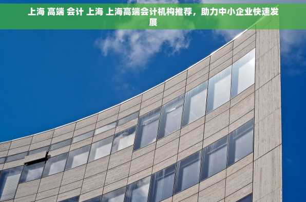 上海 高端 会计 上海 上海高端会计机构推荐，助力中小企业快速发展
