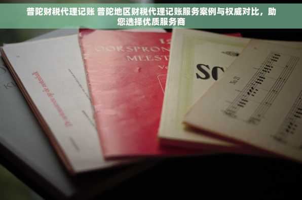 普陀财税代理记账 普陀地区财税代理记账服务案例与权威对比，助您选择优质服务商