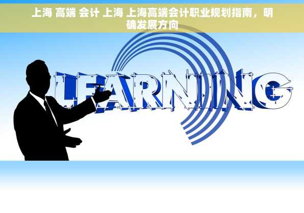 上海 高端 会计 上海 上海高端会计职业规划指南，明确发展方向