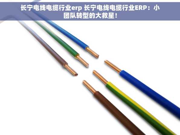 长宁电线电缆行业erp 长宁电线电缆行业ERP：小团队转型的大救星！