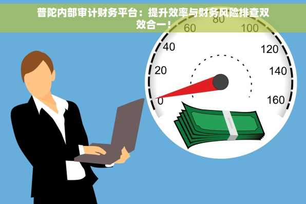 普陀内部审计财务平台：提升效率与财务风险排查双效合一！