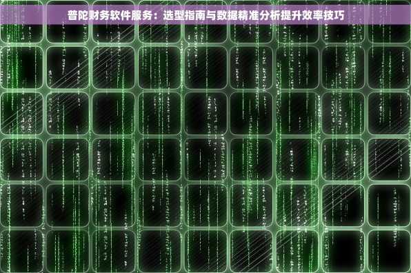 普陀财务软件服务：选型指南与数据精准分析提升效率技巧