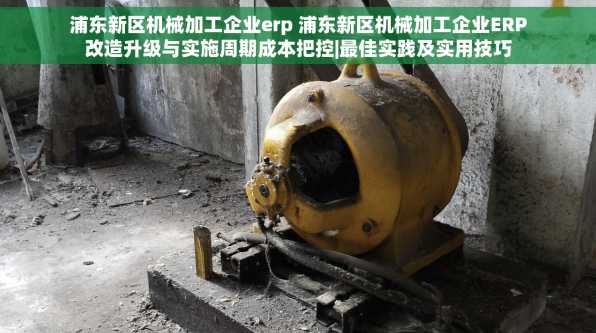 浦东新区机械加工企业erp 浦东新区机械加工企业ERP改造升级与实施周期成本把控|最佳实践及实用技巧