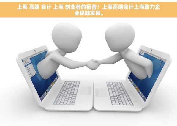 上海 高端 会计 上海 创业者的福音！上海高端会计上海助力企业稳健发展。