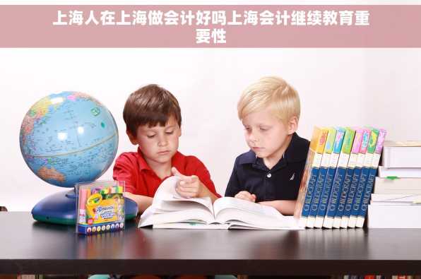 上海人在上海做会计好吗上海会计继续教育重要性