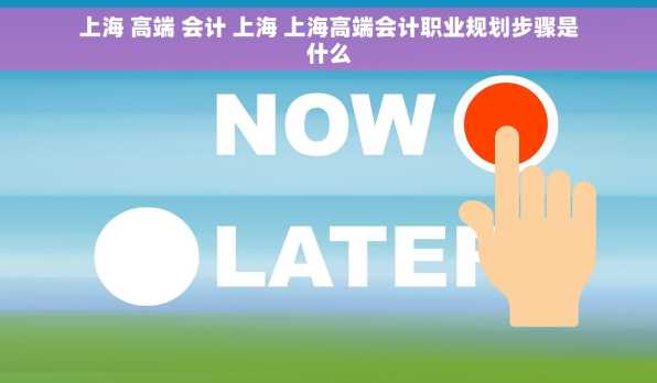 上海 高端 会计 上海 上海高端会计职业规划步骤是什么