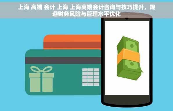上海 高端 会计 上海 上海高端会计咨询与技巧提升，规避财务风险与管理水平优化