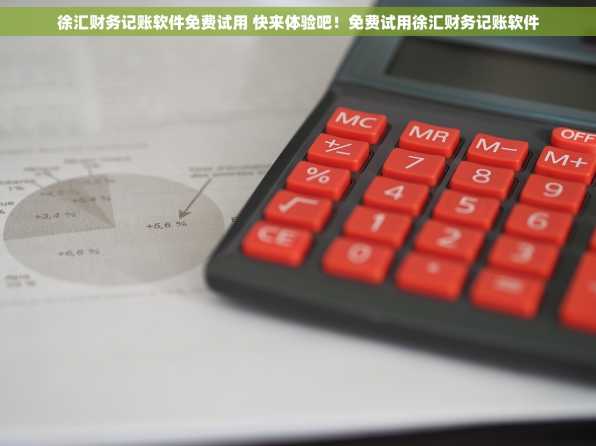 徐汇财务记账软件免费试用 快来体验吧！免费试用徐汇财务记账软件