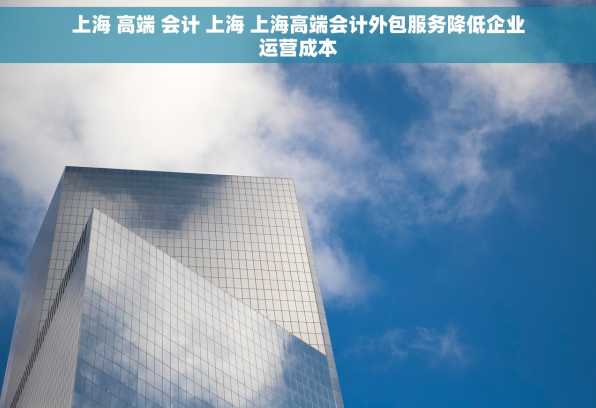 上海 高端 会计 上海 上海高端会计外包服务降低企业运营成本