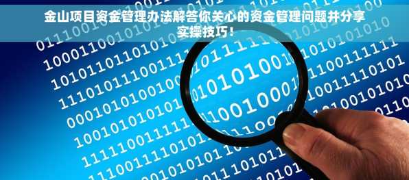 金山项目资金管理办法解答你关心的资金管理问题并分享实操技巧！