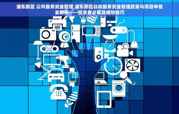 浦东新区 公共服务资金管理 浦东新区公共服务资金管理政策与项目申报全解析——投资者必看及成功技巧