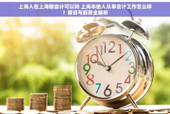 上海人在上海做会计可以吗 上海本地人从事会计工作怎么样？薪资与前景全解析