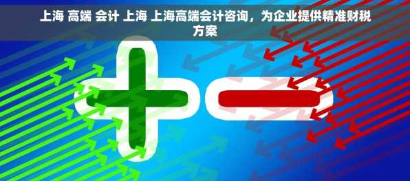 上海 高端 会计 上海 上海高端会计咨询，为企业提供精准财税方案