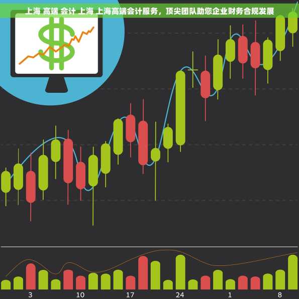 上海 高端 会计 上海 上海高端会计服务，顶尖团队助您企业财务合规发展