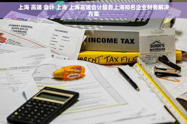 上海 高端 会计 上海 上海高端会计服务上海知名企业财务解决方案
