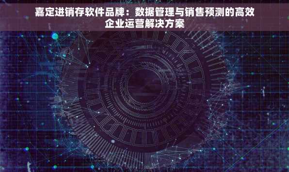 嘉定进销存软件品牌：数据管理与销售预测的高效企业运营解决方案