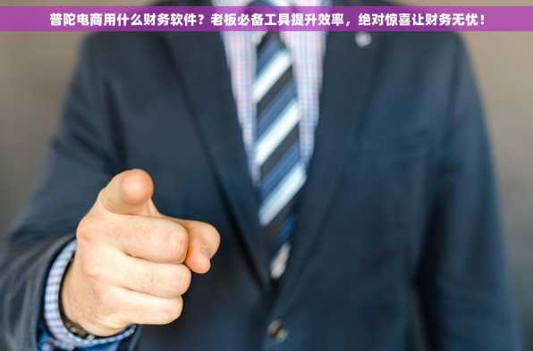 普陀电商用什么财务软件？老板必备工具提升效率，绝对惊喜让财务无忧！
