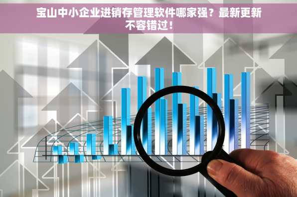 宝山中小企业进销存管理软件哪家强？最新更新不容错过！