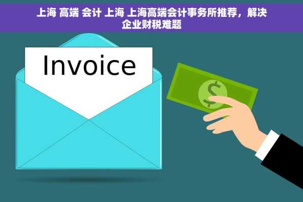 上海 高端 会计 上海 上海高端会计事务所推荐，解决企业财税难题