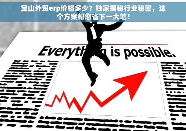 宝山外贸erp价格多少？独家揭秘行业秘密，这个方案帮您省下一大笔！