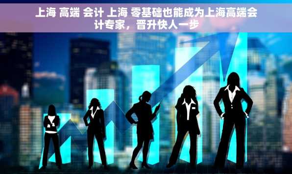 上海 高端 会计 上海 零基础也能成为上海高端会计专家，晋升快人一步