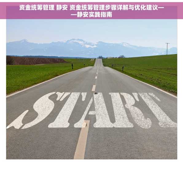 资金统筹管理 静安 资金统筹管理步骤详解与优化建议——静安实践指南
