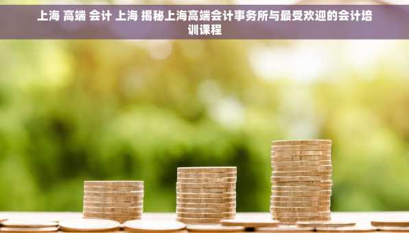 上海 高端 会计 上海 揭秘上海高端会计事务所与最受欢迎的会计培训课程