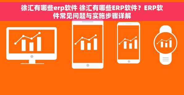 徐汇有哪些erp软件 徐汇有哪些ERP软件？ERP软件常见问题与实施步骤详解