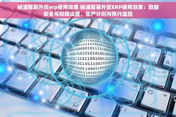 杨浦服装外贸erp使用效果 杨浦服装外贸ERP使用效果：数据安全与权限设置、生产计划与执行监控