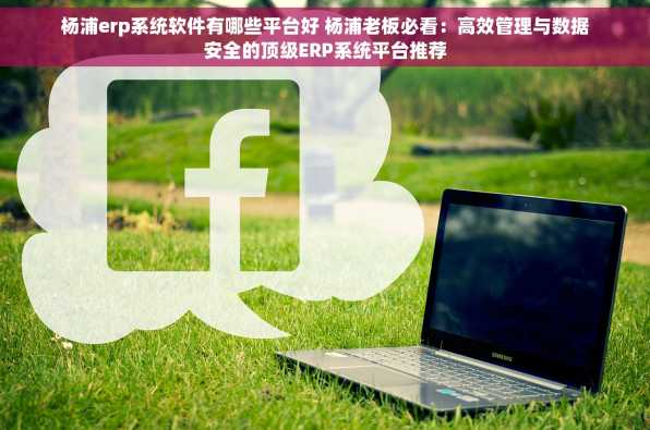 杨浦erp系统软件有哪些平台好 杨浦老板必看：高效管理与数据安全的顶级ERP系统平台推荐