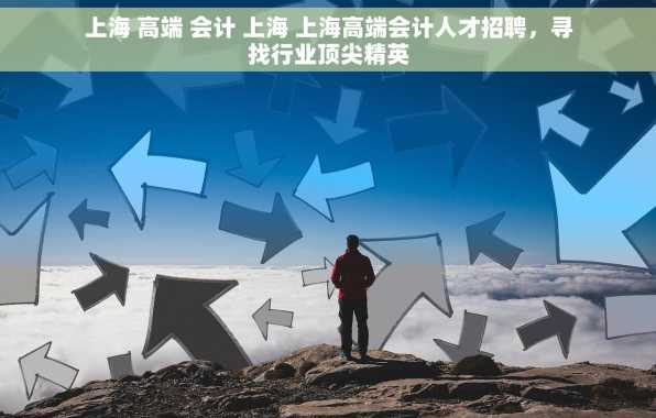 上海 高端 会计 上海 上海高端会计人才招聘，寻找行业顶尖精英