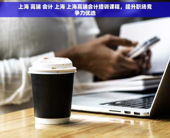 上海 高端 会计 上海 上海高端会计培训课程，提升职场竞争力优选