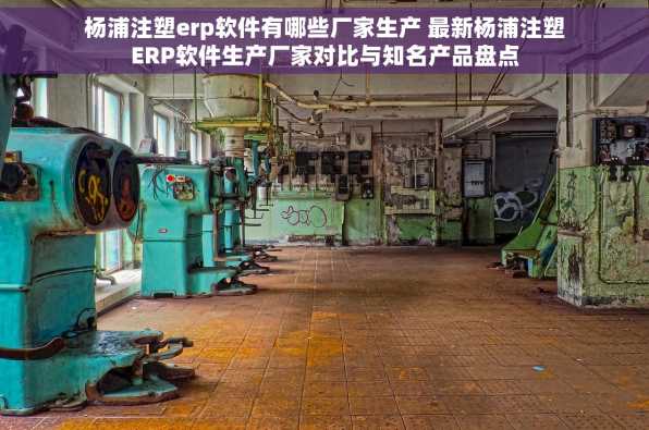杨浦注塑erp软件有哪些厂家生产 最新杨浦注塑ERP软件生产厂家对比与知名产品盘点