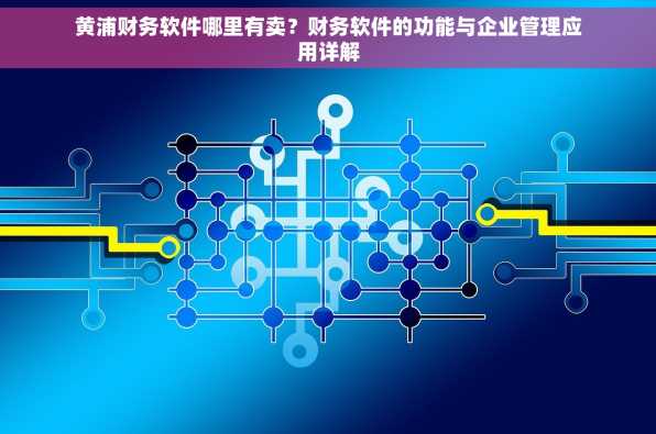 黄浦财务软件哪里有卖？财务软件的功能与企业管理应用详解