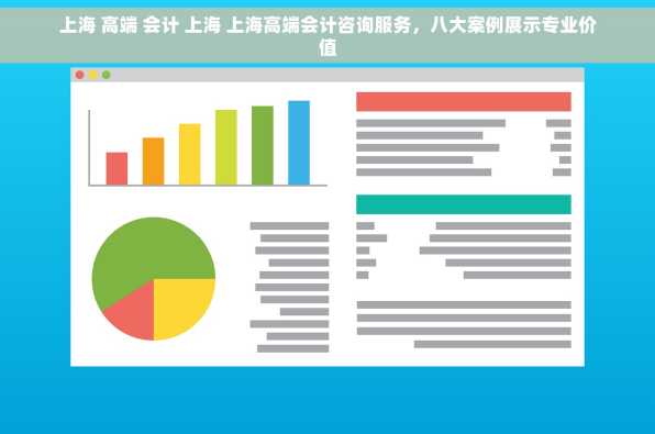 上海 高端 会计 上海 上海高端会计咨询服务，八大案例展示专业价值