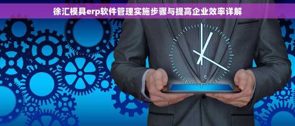 徐汇模具erp软件管理实施步骤与提高企业效率详解