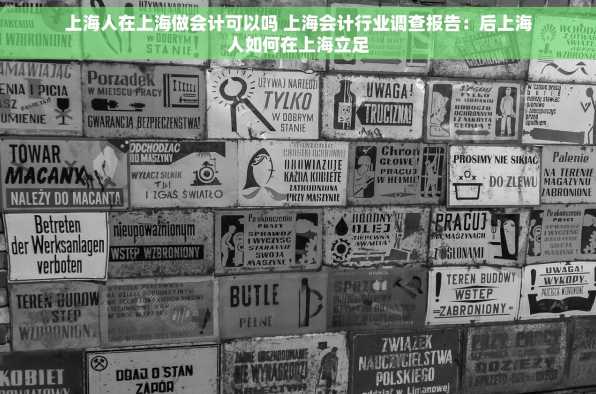 上海人在上海做会计可以吗 上海会计行业调查报告：后上海人如何在上海立足