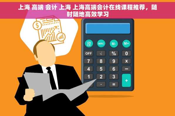 上海 高端 会计 上海 上海高端会计在线课程推荐，随时随地高效学习