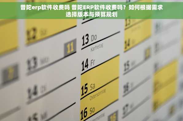普陀erp软件收费吗 普陀ERP软件收费吗？如何根据需求选择版本与预算规划