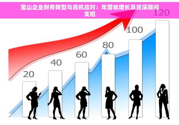 宝山企业财务转型与危机应对：年营收增长及资深顾问支招