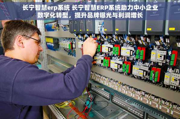 长宁智慧erp系统 长宁智慧ERP系统助力中小企业数字化转型，提升品牌曝光与利润增长